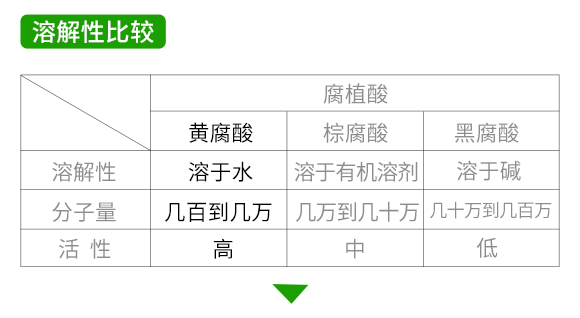 灞變笢鑱婂煄鐧懼井鐢熺墿鎶€鏈湁闄愬叕鍙?_11.jpg