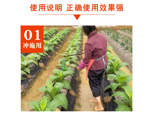 高磷型大量元素水溶肥料100-350-50+TE-柯旺達(dá)-沃爾德