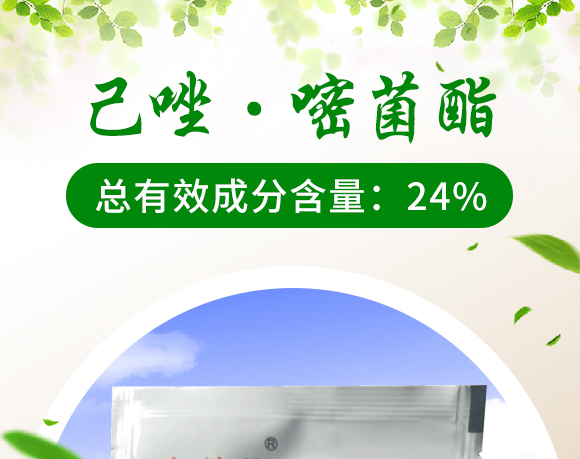 24%己唑·嘧菌酯懸浮劑-大花轎-東寶