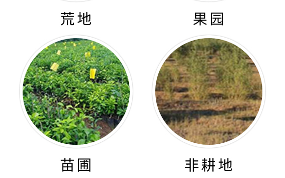 20%敵草快水劑（1000g）-農(nóng)拓荒-農(nóng)聯(lián)生科