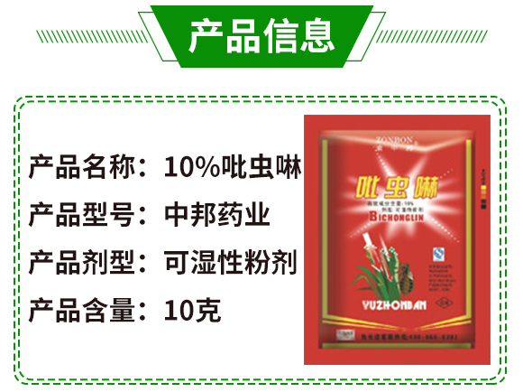 10%吡蟲啉可濕性粉劑-中邦藥業(yè)