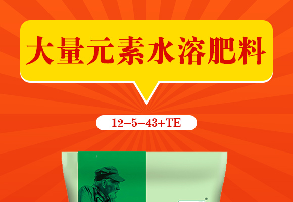 娌沖寳濂ュ痙鍒╄偉涓氭湁闄愬叕鍙鎬駭鍝佽鎯呴〉1_01.jpg