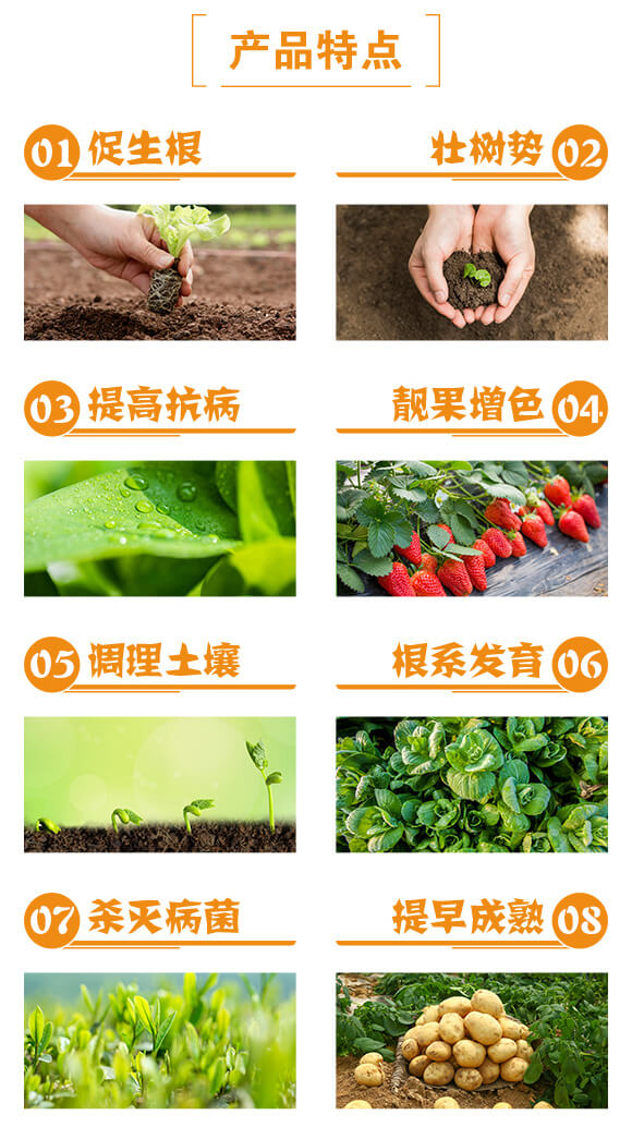 10亿活菌碳酶·微生物菌剂-泉霖铭晟_03.jpg