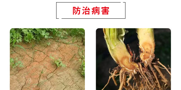 碳基微生物菌肥-優(yōu)果良蔬-德諾恩