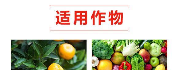 30%苯甲·丙環(huán)唑乳油-農(nóng)本樂-賽諾化工