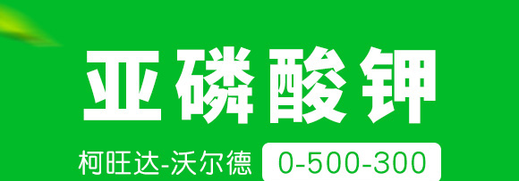 亞磷酸鉀0-500-300-柯旺達-沃爾德