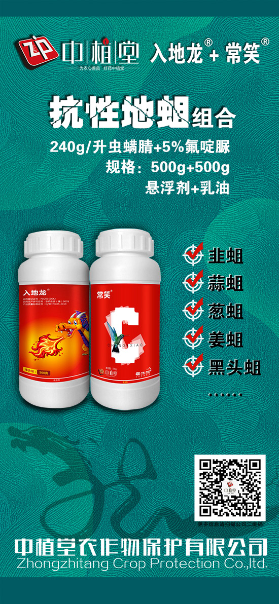 5%氟啶脲乳油-常笑-中植堂