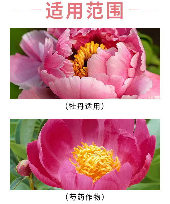 芍藥、牡丹芍藥科中藥材除草劑-富美