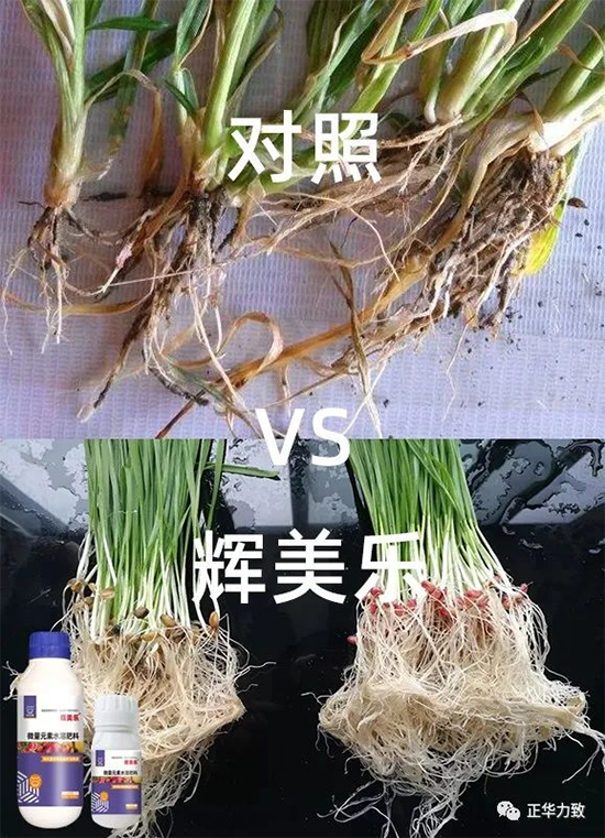 鏈爣棰?11.jpg