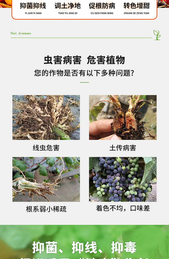 鐡滄灉鍨嬫棤綰跨泭鑿?紱忚禌紱廮02.jpg