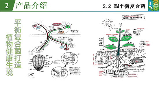 菌吾l研农业_12.jpg