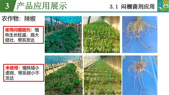 菌吾l研农业_22.jpg