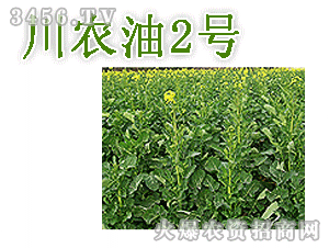 川農(nóng)油2號