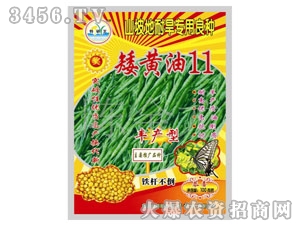 特研王矮黃油11