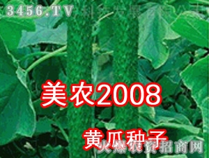 美農2008黃瓜種子