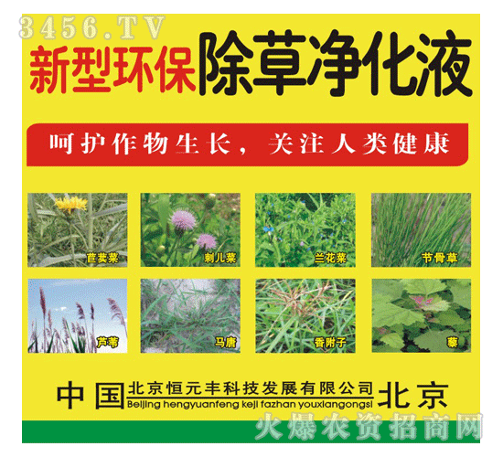 恒元豐-新型環(huán)保除草凈化液