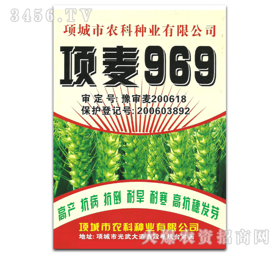 項麥969小麥種子