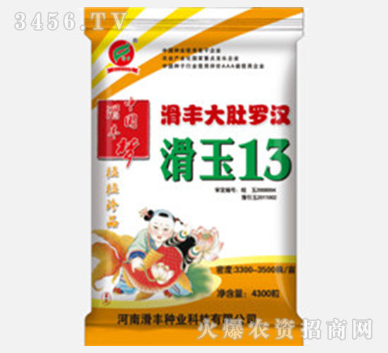 4300粒滑玉13（玉米種子）-滑豐