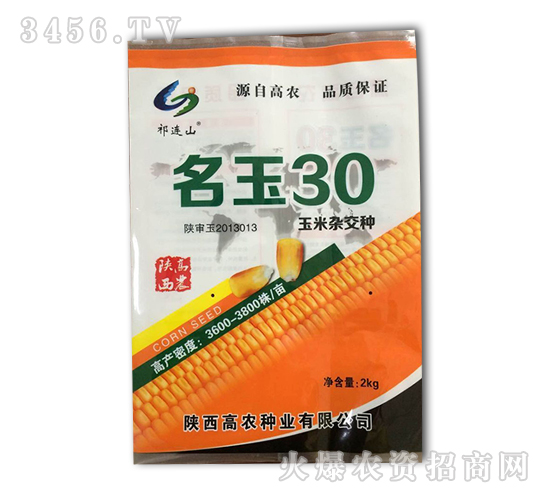 玉米雜交種-名玉30-鑫博農(nóng)業(yè)