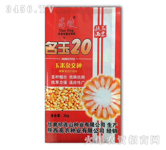 玉米雜交種-名玉20-鑫博農(nóng)業(yè)