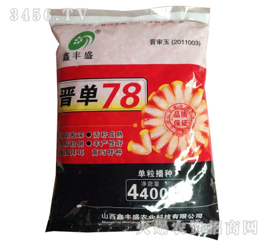 晉單78玉米種子-長豐種業(yè)