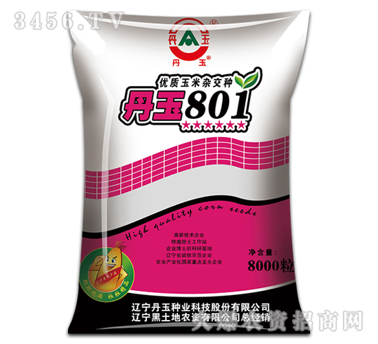 丹玉801玉米種-黑土地