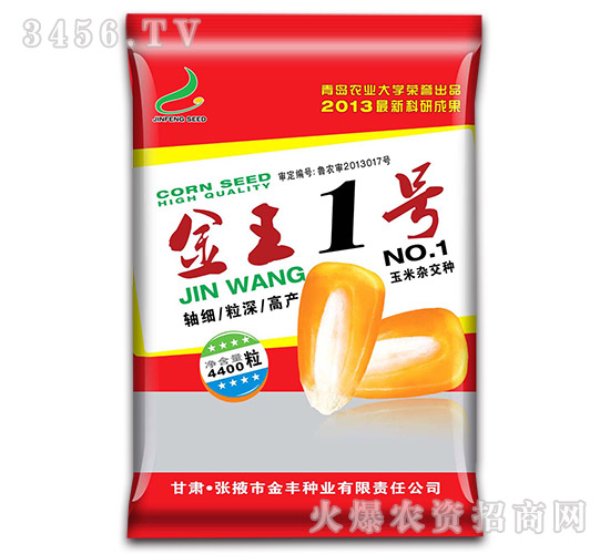 金王一號(hào)-玉米種子-金豐種業(yè)