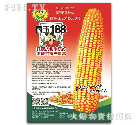 良玉188-玉米種子-農德利