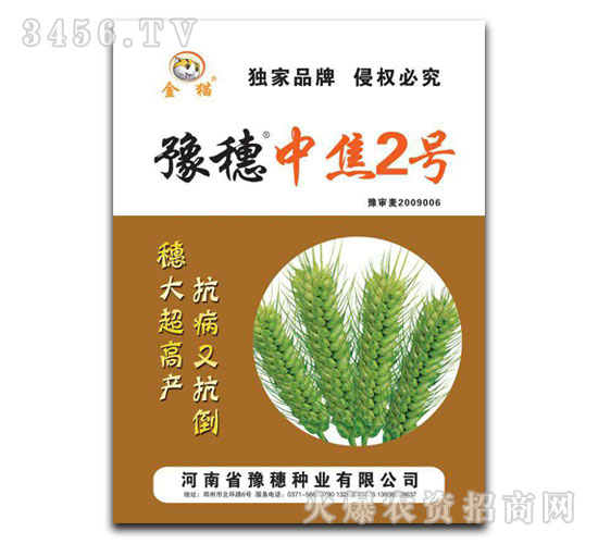 豫穗中焦2號(hào)-小麥種子-金貓