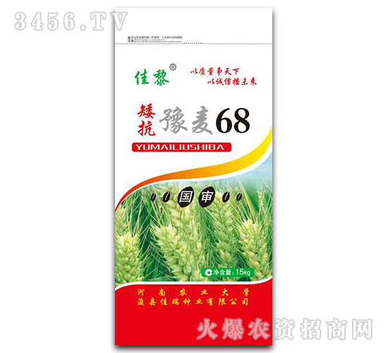 矮抗豫麥68-小麥種子-佳黎-佳瑞種業(yè)