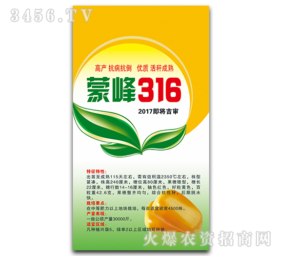 蒙峰316（2017即將吉審）-玉米種子-寶誠種業(yè)