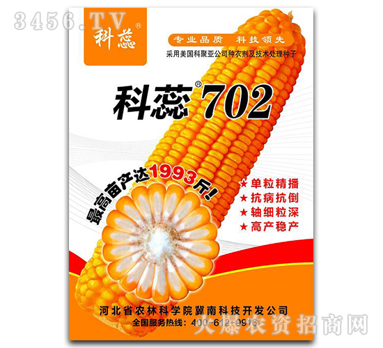 科蕊702-玉米種子-冀科種業(yè)