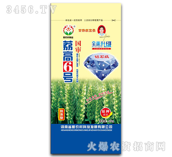 40kg荔高6號(hào)-小麥種子-新農(nóng)村