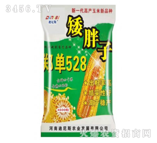 鄭單528-玉米新種-迪尼斯