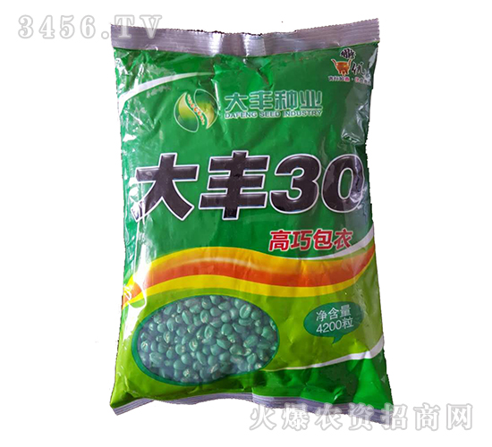 玉米種子-大豐30（袋）-新農(nóng)村