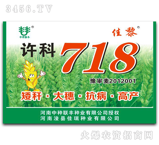 許科718-小麥種子-佳黎-佳瑞種業(yè)