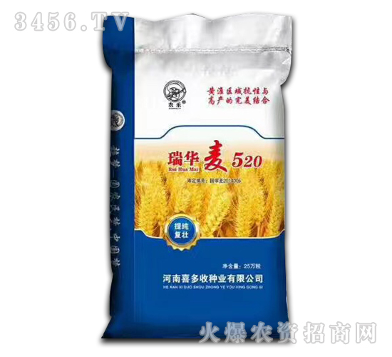 瑞華麥520-小麥種子-喜多收