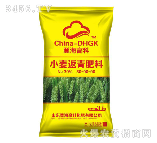 小麥返青肥料30-0-0-登海高科