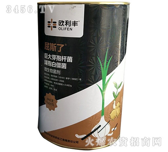 微生物菌劑（巨大芽孢桿菌·球孢白僵菌）-屈斯了-豐達農(nóng)藥