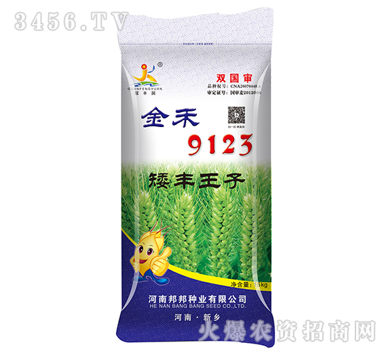 小麥種子-金禾9123-邦邦種業(yè)