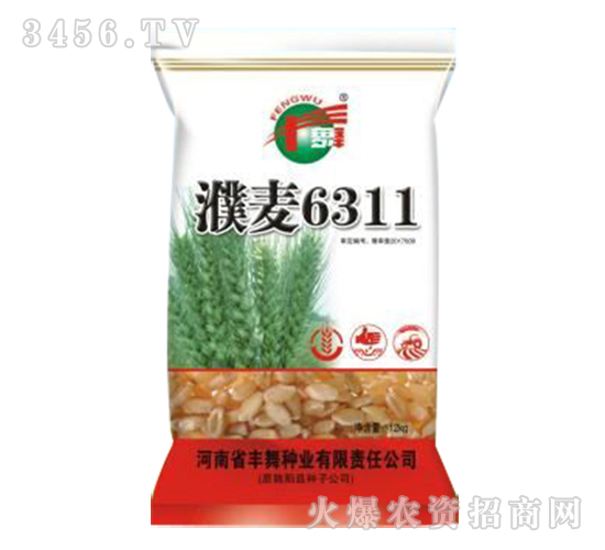 12kg小麥種子-濮麥6311-豐舞