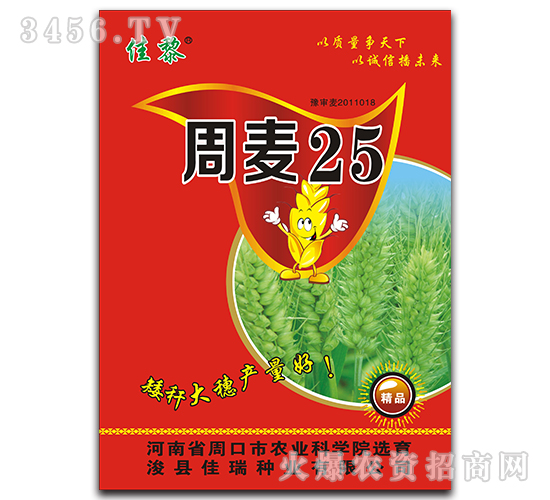 周麥25-小麥種子-佳瑞種業(yè)