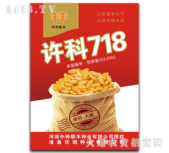 許科718-小麥種子-佳瑞種業(yè)