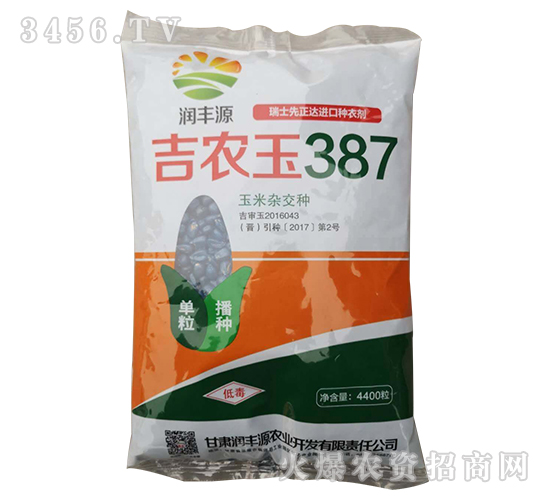 吉農(nóng)玉387-玉米種子-中科種業(yè)