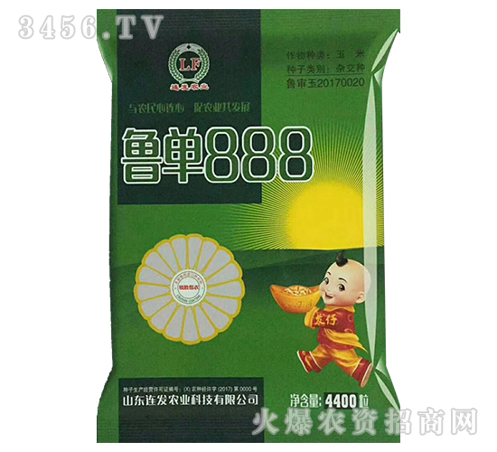 魯單888（4400粒）-玉米雜交種-連發(fā)農(nóng)業(yè)