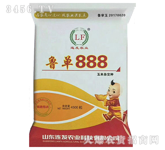 魯單888（4500粒）-玉米雜交種-連發(fā)農(nóng)業(yè)