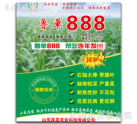 魯單888-玉米雜交種-連發(fā)農(nóng)業(yè)