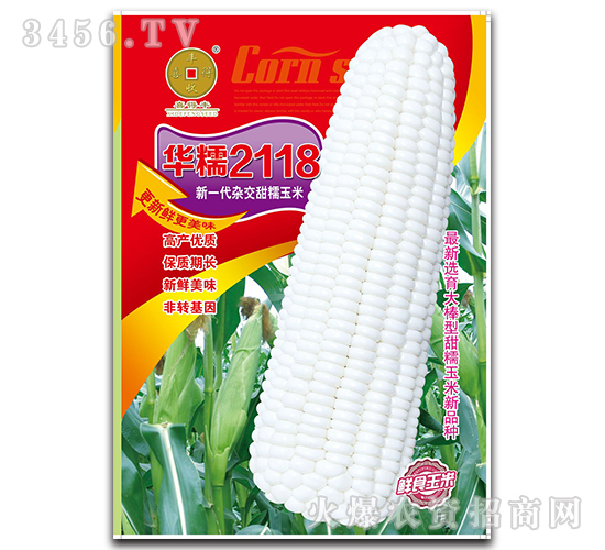 華糯2118-玉米雜交種子-華為種業(yè)