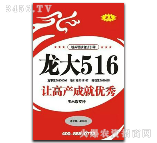 龍大516-玉米雜交種-龍大種業(yè)