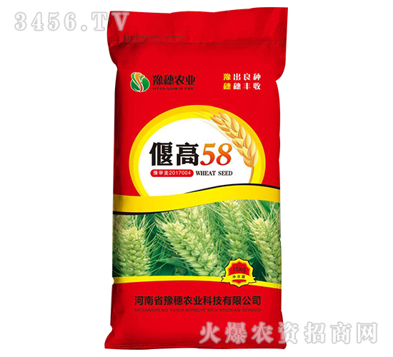 15kg偃高58-小麥種子-豫穗農(nóng)業(yè)